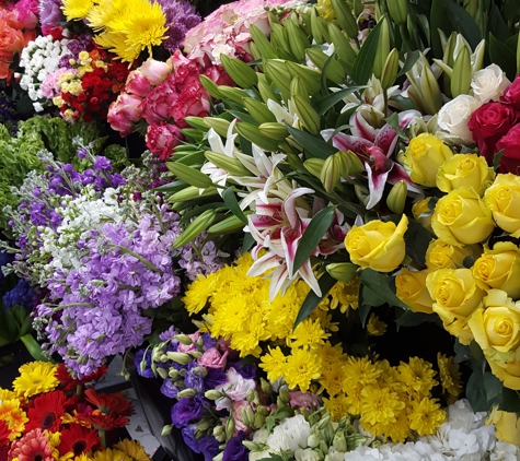 Miami Flower Market - Miami, FL