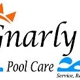 Gnarly Pool Care