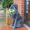 Maple Hills Veterinary Hospital gallery