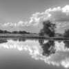 Occoquan Bay Refuge gallery