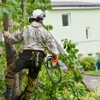 Princeton Tree Care gallery