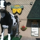 Williams Cheese Factory Outlet