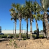 Rosehill Palms Nursery & Garden Center gallery