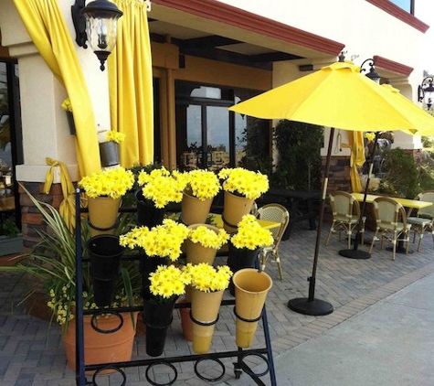 Yellow Vase - Rancho Palos Verdes, CA