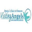 Visiting Angels Living Assistance Services - Eldercare-Home Health Services