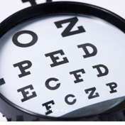 Gallery Image Number 3