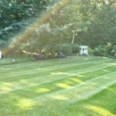 G&M Lawn and Landscape - Gardeners