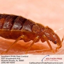 Southern Pride Pest Control - Termite Control