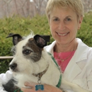 South Putnam Animal Hospital - Veterinary Clinics & Hospitals