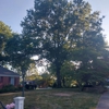 Mountain Man Tree Services gallery