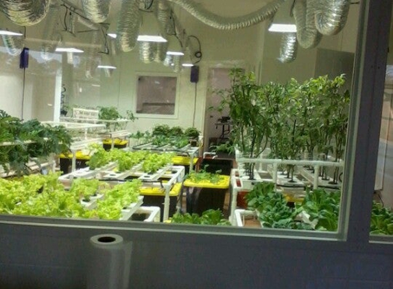 The Organic Garden - Colonial Heights, VA