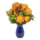 Lovebug Floral - Flowers, Plants & Trees-Silk, Dried, Etc.-Retail
