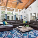 Enclave at Lake Ellenor - Apartments