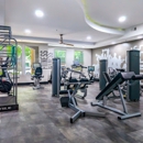 The Everly at Historic Franklin Apartments - Condominiums