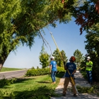 Utah Tree Co.