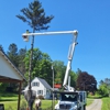 Fast Track Tree Removal gallery