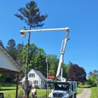 Fast Track Tree Removal