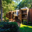The Forest Apartments - Apartments