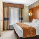 Comfort Suites University - Motels