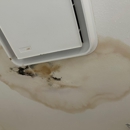 PureAir Mold Testing of Santa Clarita - Mold Remediation