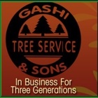 Gashi & Sons Tree Service
