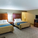 Comfort Inn Ottawa - Motels