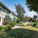 Brandywyne Village - Apartments