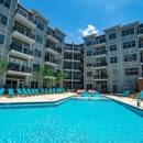 The Collective NoDa - Apartments
