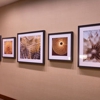 Hyatt Place Los Angeles/Lax/El Segundo gallery