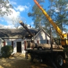 Mike's Tree Service gallery