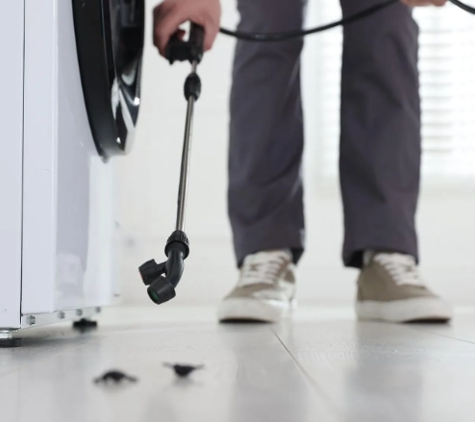 Black & White Pest Control - Greenbank, QLD