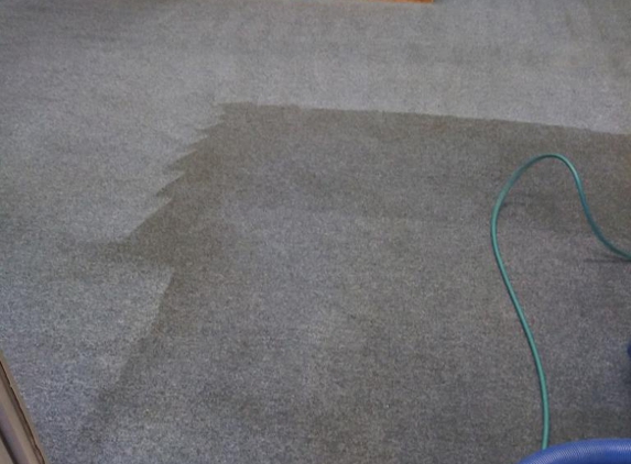 Dirt Free Carpet