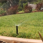 Evergreen Sprinklers