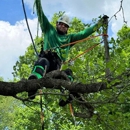 Bloomscape Lawn, Landscaping, and Tree Services - Landscape Contractors