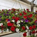 Evans Nursery LLC - Nurseries-Plants & Trees