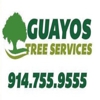 Guayos Landscaping & Tree Service gallery