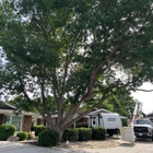 All Tree Works