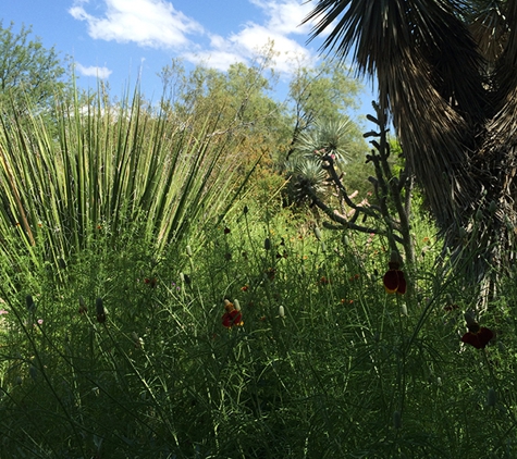 Tucson Botanical Gardens - Tucson, AZ. Pretty day at the botanical gardens.