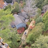 Tree Brothers Tree Service gallery