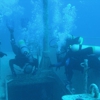 Sea Lions Dive Center gallery