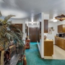 Fountain Square Apartments - Apartments