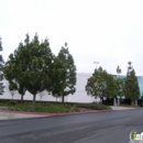 Triton Management Services - Management Consultants