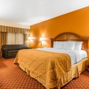 Quality Inn Cookeville - Motels