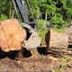 Loury's Land Services
