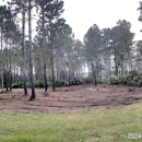 Southeast Forest and Land Management LLC - Excavation Contractors