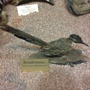 Superstition Mountain Museum - Museums