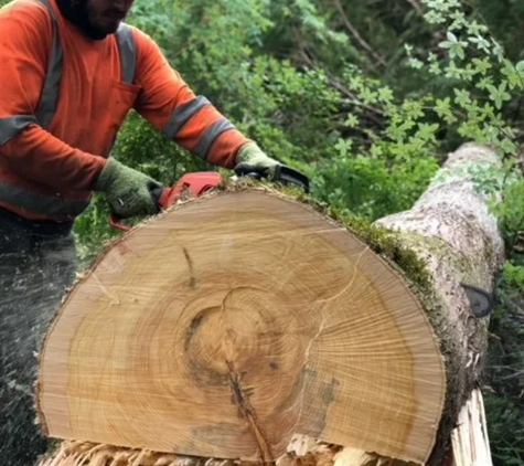 Carlos Tree Service Inc - Anchorage, AK