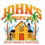 John's tropical roof wash and painting