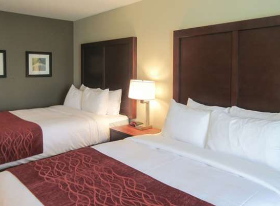 Comfort Inn & Suites Amish Country - Gap, PA