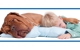 Kanwal Veterinary Hospital - Veterinarians